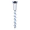 Picture of 10.0mm x 100mm Coach Screw