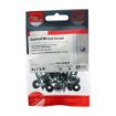 Picture of 4.0mm x 30mm PZ2 Chrome Mirror Screws