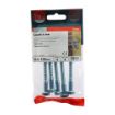 Picture of 8.0mm x 100mm Coach Screws (Pack of 5)