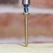 Picture of C2 5.0mm x 100mm PZ2 Woodscrews
