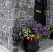 Picture of Black Limestone Stone Veneer