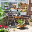Picture of Alderley Large Plant Ladder