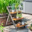 Picture of Alderley Small Plant Ladder