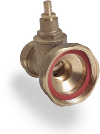 Picture of 22mm Gate Type Pump Valve 