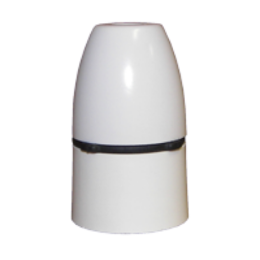 Picture of White Unswitched Lampholder